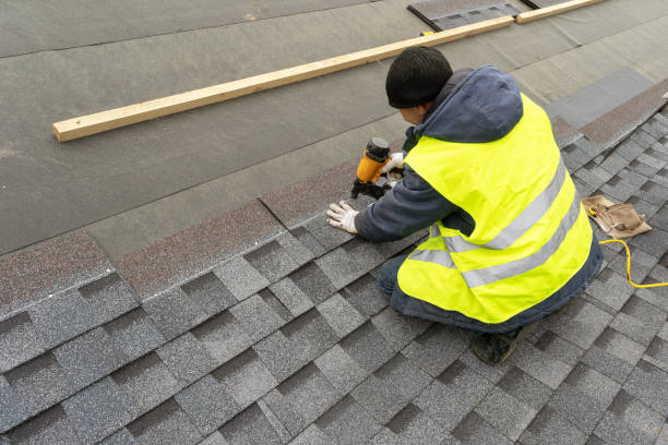 Best Roof Gutter Cleaning  in Patrick Af, FL